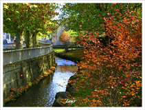 Photos Laur