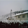 Jour d'hiver