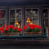 Balcon fleuri