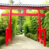 Parc Oriental de Maulévrier (1)