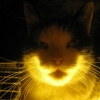 Chat 2