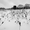 Tout un foin pour de la neige