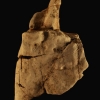 Tête double d'Humains de Neandertal avec casque...