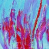 Abstraction