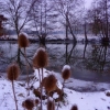 Soir de neige