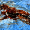 Peinture sur photo