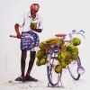L'Inde en dessins 18 Vendeur de noix de coco