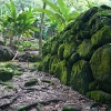Les traces d'une civilisation ancienne, aux...