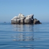 Reposoir des cormorans devant la grande digue...