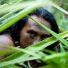 Marquisien dans la forêt tropicale