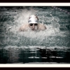 Championnats de Normandie ”hiver” de natation à...