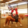 concours de voltige