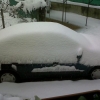 Paysage d'hiver