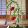 fleurs