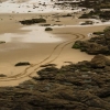Les traces