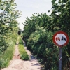 chemin