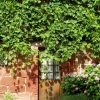 Collonges la Rouge (4)