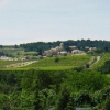 Vinsobres