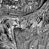 Tableau 31