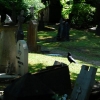 Cimetière de Dieweg... et The Crow