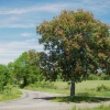 vers Blars, bord du causse de Gramat