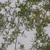 LA NATURE RESPIRE DIEU.