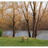Solitude au bord de l'Allier