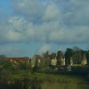 Lys Saint George