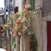 Pezenas....