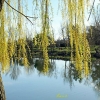 Reflets à Cournon 63