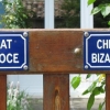 HUMOUR FELINIEN...