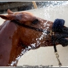 genet sous la douche