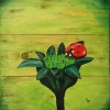 Coccinelle