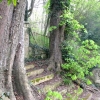 Chemin d'enfance I