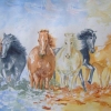 En Camargue