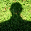 Se mettre au vert