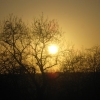 Ciel jaune