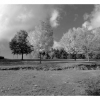 Paysage auvergnat