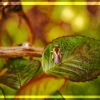 Chaleur de couleurs