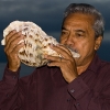 Le musicien du roi, aux Tonga