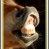 insolite ! on sait pourquoi ! lol
