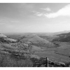 Paysage