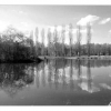 Reflets