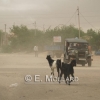 Une route, au Rajasthan, avant la tempête
