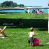 L'ENIGME D'OEDIPE - Chicago 2012