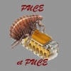 PUCE et PUCE