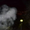 Photo d'une Dragonne