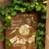 Collonges la Rouge (15)