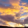 Paysage