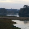 La Loire près de Langeais
